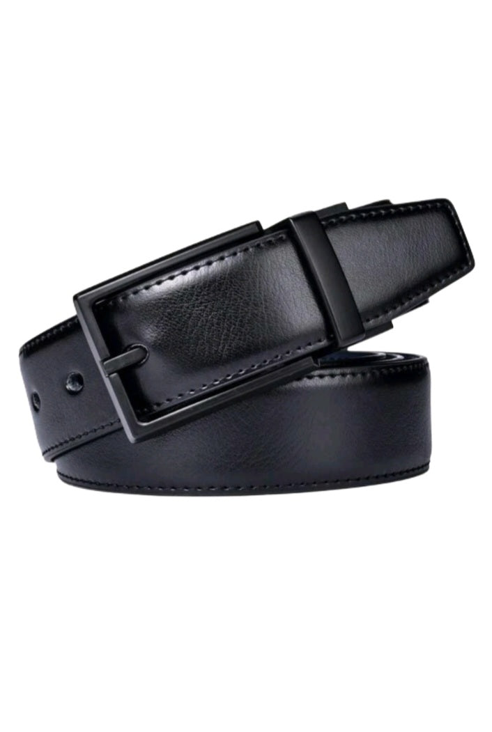 Reversible Belt